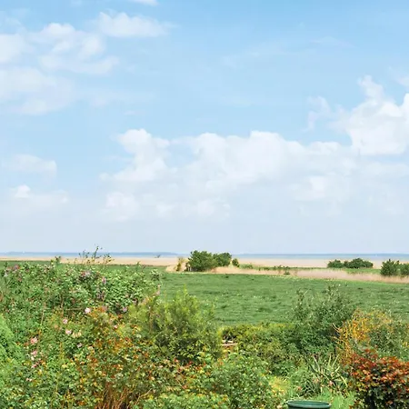 Stunning In With Wifi Holiday home Saal